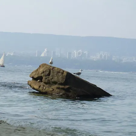 Asparuhov Guest And Penzion Varna